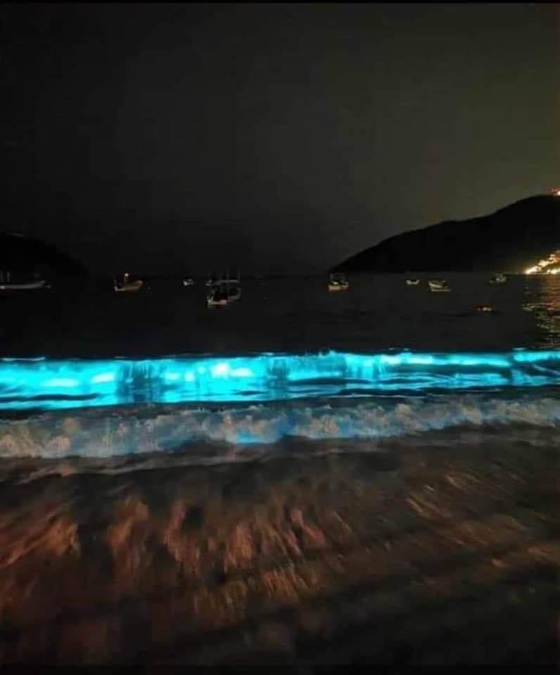 Regresa fenómeno de mar bioluminiscente a Acapulco